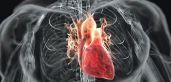 650px-Screen_Shot_2016-04-27_at_9.44.51_AM